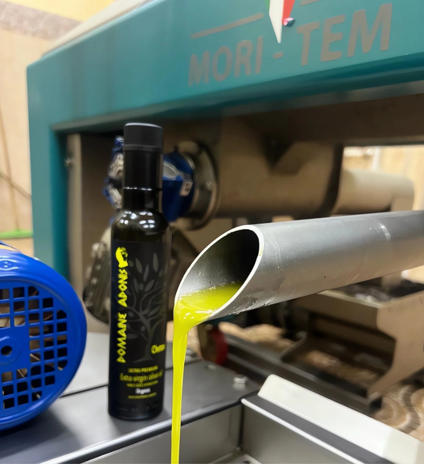 tunisa olive oil